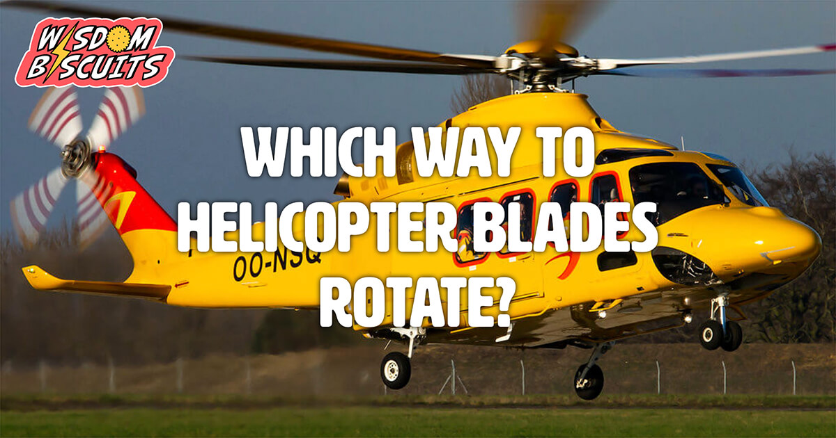 Which way do helicopter blades rotate? Wisdom Biscuits