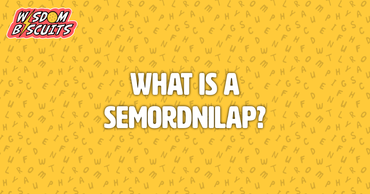 What is a semordnilap?